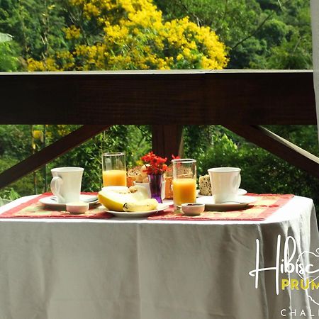 Hibiscus Prumirim Chales Ubatuba Exterior photo